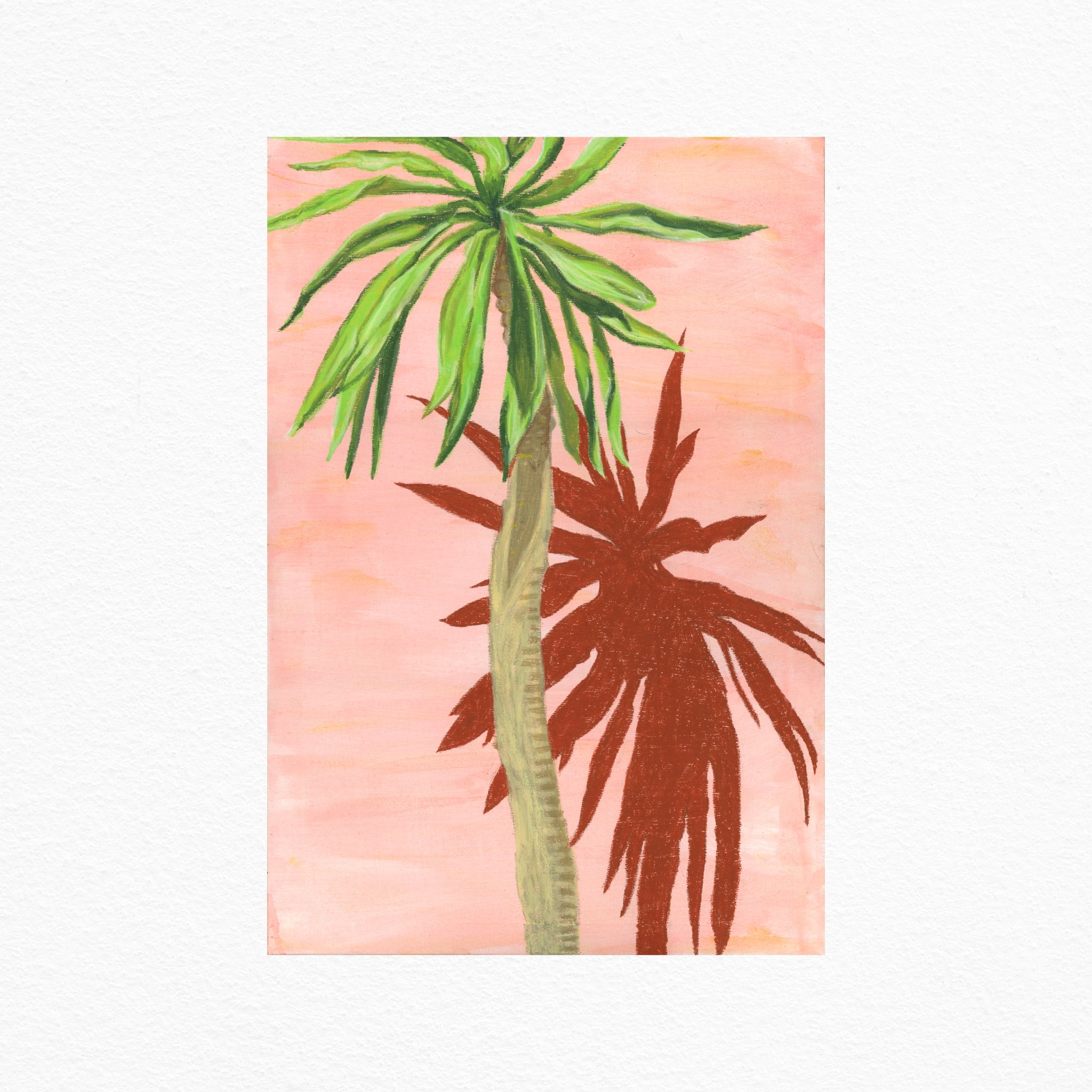 Yucca