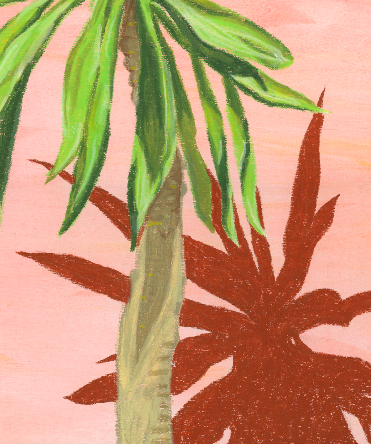 Yucca (Framed Print)
